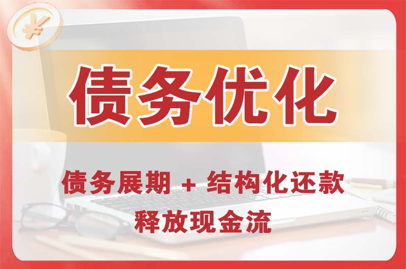 桐乡债务优化